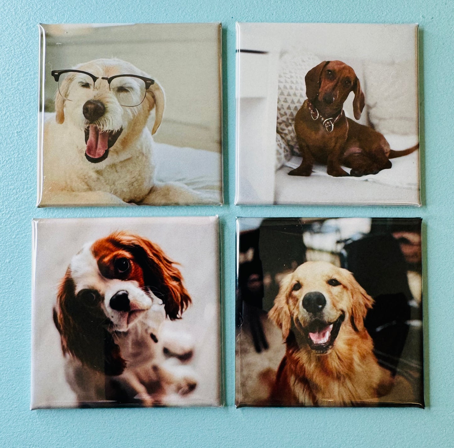 Photo Magnets (Set of 9)