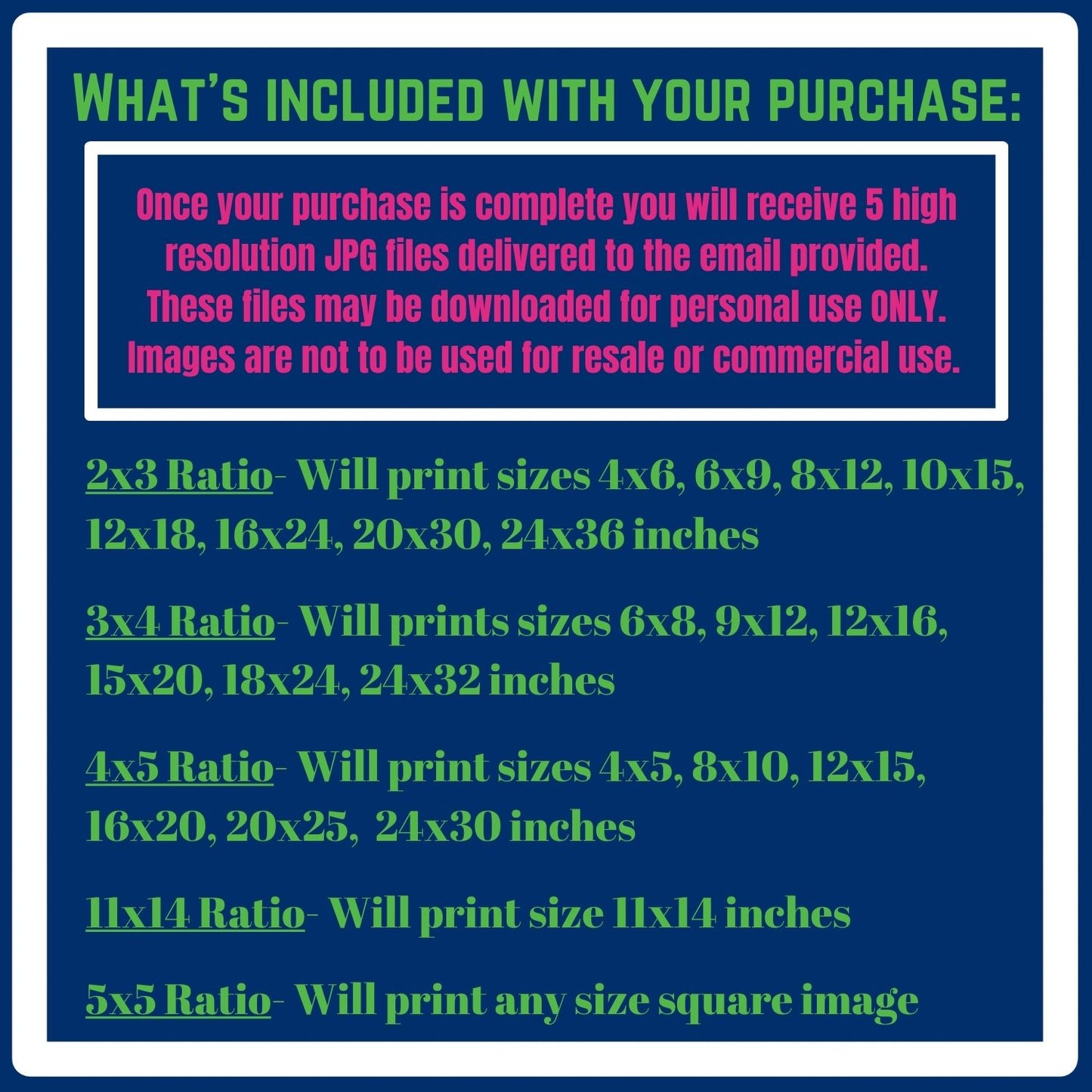 Auburn Al Eagle Coordinates Poster (Pink)