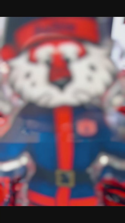 Aubie Clause Shelfie